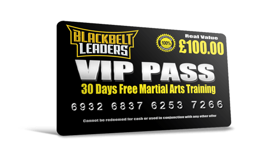 Looking For Martial Arts Worthing - Use this VIP Pass to get 30 days free training
